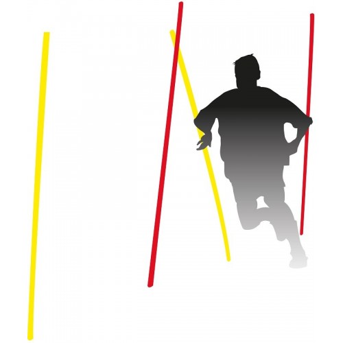 Piquet De Slalom Extra-Souple Tremblay - Team.Montisport.fr