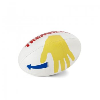 Rugbyball pédagogique...