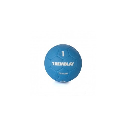 Ballon Handball Cellulaire Taille 1 Tremblay - Team.Montisport.fr