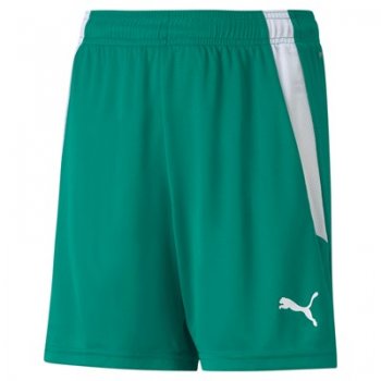 Short TeamLIGA Enfant Puma