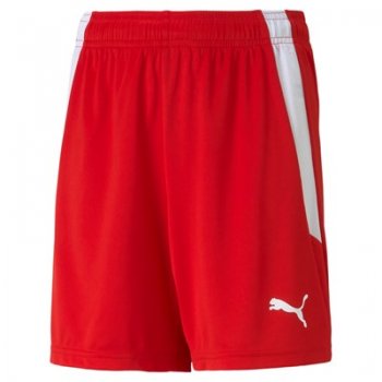 Short TeamLIGA Enfant Puma 2