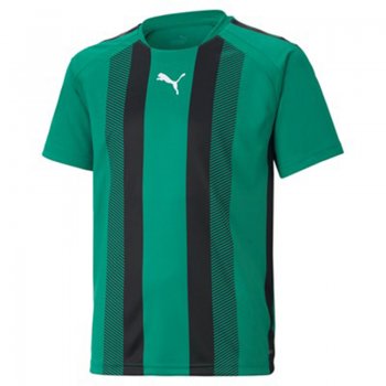 Maillot TeamLIGA Striped Enfant Puma