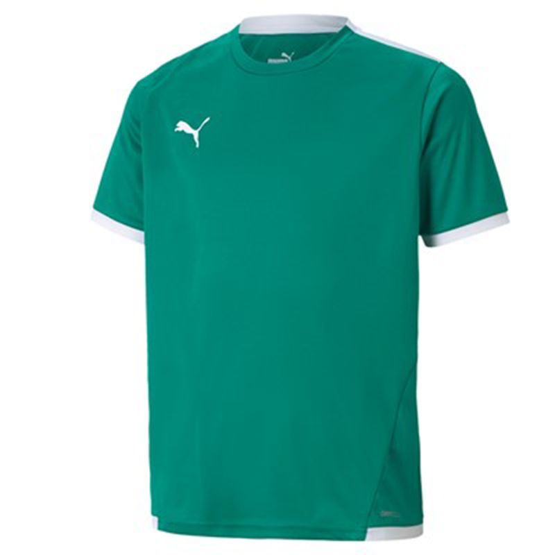 Maillot TeamLIGA Enfant Puma