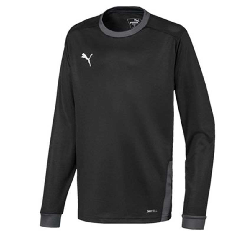 Maillot Manches Longues TeamGOAL 23 Enfant Puma