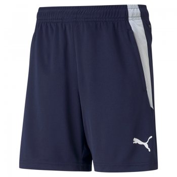 Short TeamLIGA Training Enfant Puma