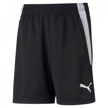 Short TeamLIGA Training Enfant Puma 2
