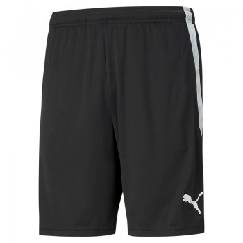 Short TeamLIGA Training Puma