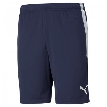Short TeamLIGA Training Puma 2