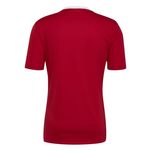 Maillot Entrada 22 Adidas
