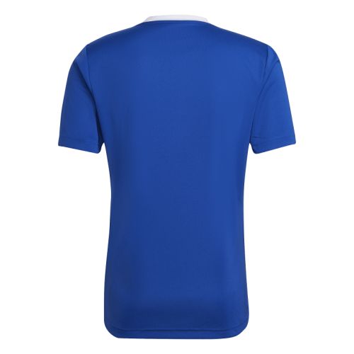 Maillot Entrada 22 Adidas