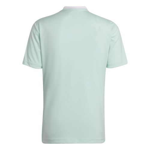 Maillot Entrada 22 Adidas