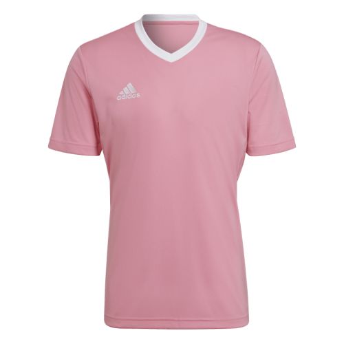 Maillot Entrada 22 Adidas
