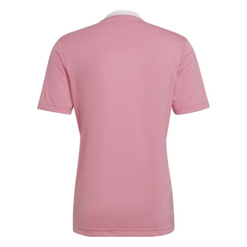 Maillot Entrada 22 Adidas