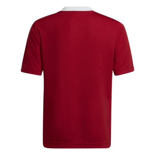 Maillot Entrada 22 Enfant Adidas