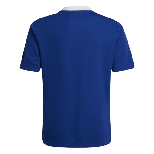 Maillot Entrada 22 Enfant Adidas