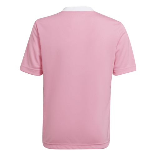Maillot Entrada 22 Enfant Adidas