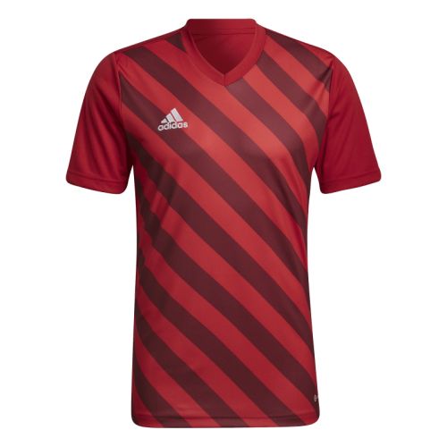 Maillot Entrada 22 Gfx Adidas
