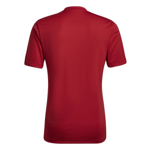 Maillot Entrada 22 Gfx Adidas
