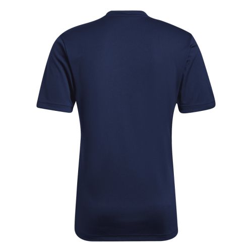 Maillot Entrada 22 Gfx Adidas