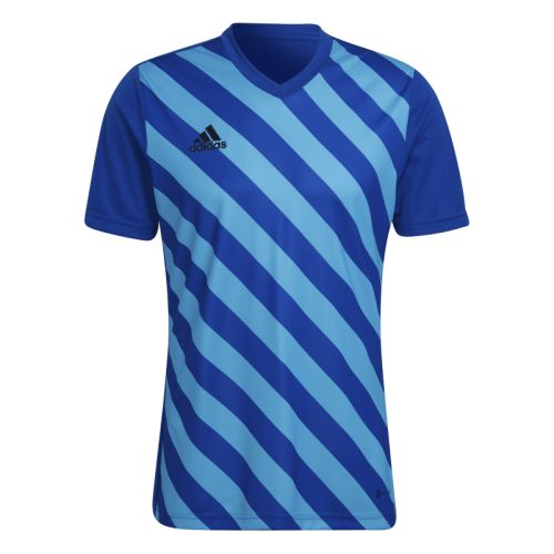 Maillot Entrada 22 Gfx Adidas