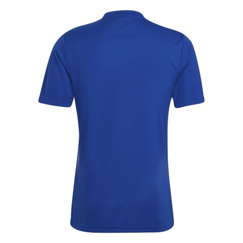 Maillot Entrada 22 Gfx Adidas