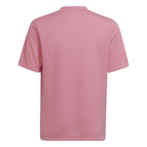Maillot Entrada 22 Gfx Enfant Adidas