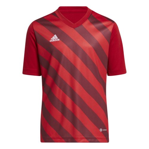 Maillot Entrada 22 Gfx Enfant Adidas