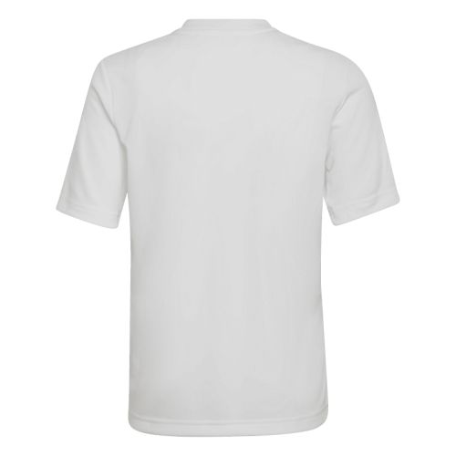 Maillot Entrada 22 Gfx Enfant Adidas