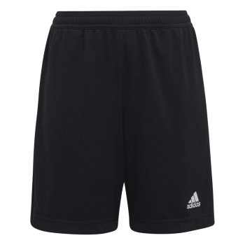 Short Training Entrada 22 Enfant Adidas 2