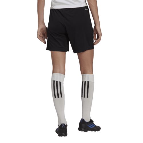 Short Training Entrada 22 Femme Adidas