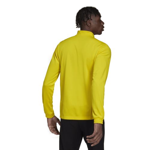 Sweat 1/4 Zip Training Entrada 22 Adidas