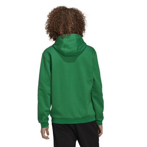 Sweat à Capuche Entrada 22 Adidas