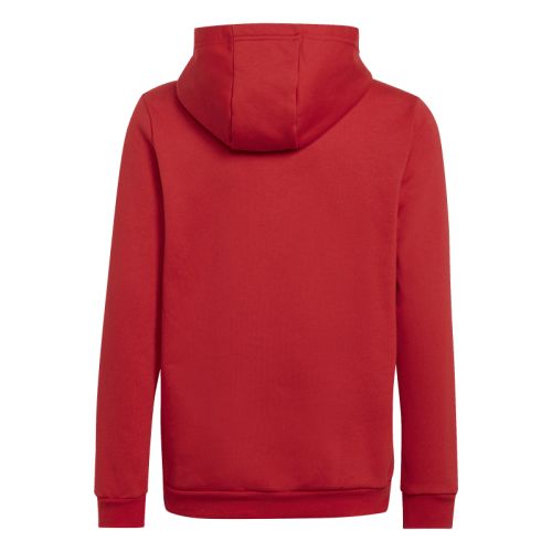 Sweat à Capuche Entrada 22 Enfant Adidas