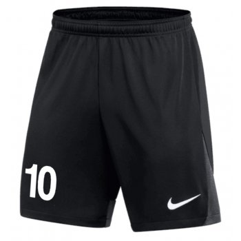 O.G - Short Nike Academy...