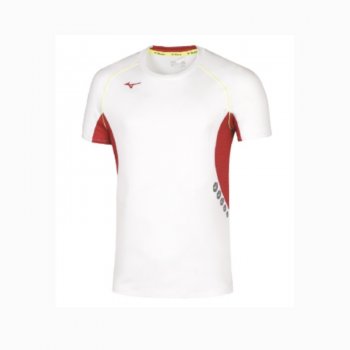 Maillot JPN Premium Mizuno 2