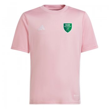 RCAGR - Tabela 23 Maillot...